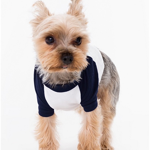 American Apparel Doggy Baseball Tee Black Sleeves - Picture 3 of 7